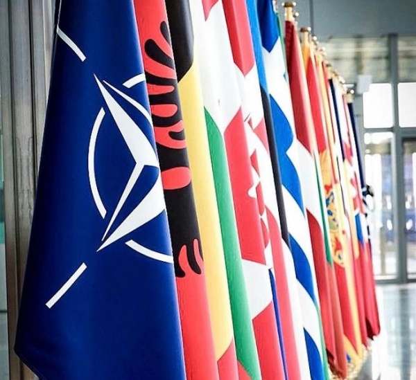 Политолог Шаповалов назвал страны ЕС, которые могут поддержать РФ в случае войны с НАТО