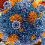 Ученые обнаружили ген, блокирующий смертельные вирусы