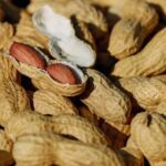 В Гарварде объяснили пользу арахиса: от холестерина и высокого сахара