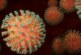 Ученых заинтересовал штамм коронавируса A.30, который может уходить от антител