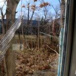 ЛНР обвинила Киев в целенаправленном обострении ситуации в Донбассе — РИА Новости, 23.11.2021