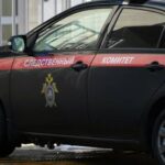 Из багажника машины, попавшей в ДТП под Петербургом, выпало тело мужчины — РИА Новости, 21.11.2021