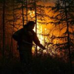 Из-за природных пожаров режим ЧС вводили более 80 раз в 23 регионах — РИА Новости, 19.11.2021