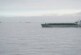 Судовладелец прокомментировал столкновение британского и датского кораблей — РИА Новости, 14.12.2021