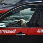 СК просит арестовать актера, подозреваемого в избиении экс-замминистра — РИА Новости, 11.12.2021