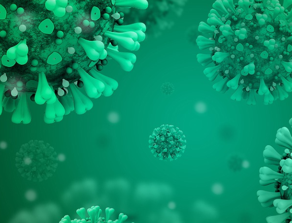 В Китае несколько десятков человек поразил новый генипавирус