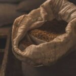 Российские аграрии намерены еще больше экспортировать зерновых