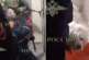 Полицейские ищут хозяина собаки, освобожденной из квартиры в Подмосковье — РИА Новости, 14.02.2024