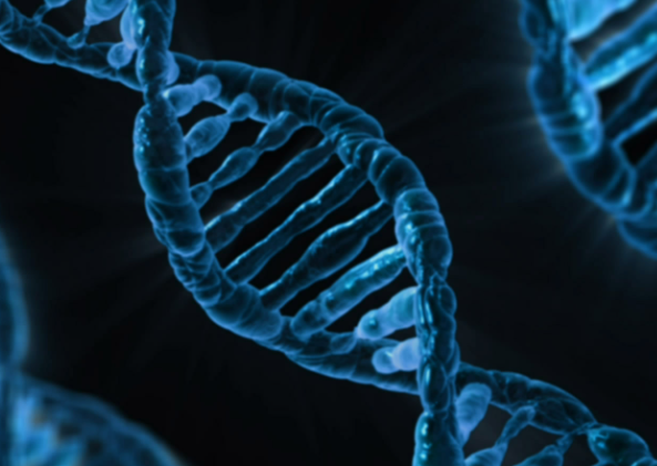 Американские ученые воспроизвели процесс эволюции РНК