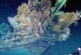 «Святой грааль кораблекрушений»: названы планы подъема затонувшего корабля с сокровищами