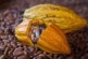 До исторического максимума: почему мировые цены на какао-бобы выросли втрое за последний год — РТ на русском