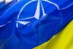 «В качестве утешительного приза»: как Украина и НАТО планируют расширить военно-промышленное сотрудничество — РТ на русском