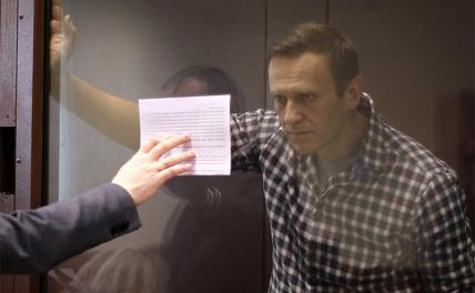 Суд оштрафовал Навального за клевету на ветерана