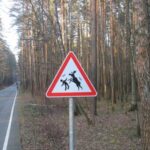 Российским водителям грозит «фотовидеофиксация»: собрали топ жутких дорожных знаков