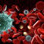 Ученые оценили скорость исчезновения иммунитета после COVID-19