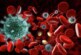 Ученые оценили скорость исчезновения иммунитета после COVID-19