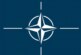 На сайте НАТО появилась информация о начале операции Svinosotnya, направленной против Украины