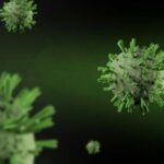 Новые данные о вирусе SARS-CoV-2 и коронавирусной инфекции COVID-19