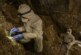Ученые впервые воссоздали ДНК ископаемого медведя, сохранившуюся в почве