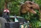 Жительница Флориды сняла на видео животное, похожее на динозавра