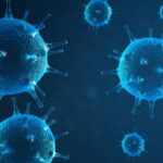 Старение и хронические вирусные инфекции оказывают схожее влияние на иммунитет