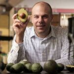 Ученые обнаружили антираковое свойство авокадо