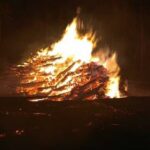 «Лосиный остров» признали не готовым к периоду лесных пожаров