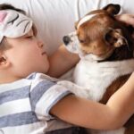 Присутствие домашних питомцев в постели значительно улучшает качество сна ребенка