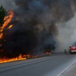 Природный пожар в Тюменской области уничтожил более 20 дач