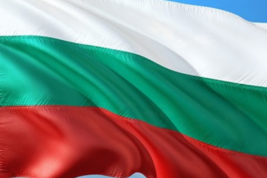 Политические партии Болгарии выступили против провокаций НАТО в Чёрном море