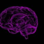 Головной мозг при болезни Альцгеймера могут повреждать частицы металлов