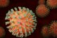 Способный убить каждого третьего новый вариант коронавируса назвали «реальной возможностью»