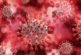 В США представили доклад о лабораторном происхождении коронавируса
