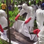 Ученые объяснили причину новой вспышки лихорадки Эбола