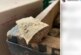 Дмитрию Воденникову подарили фрагмент кости тираннозавра