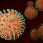 В расследовании происхождения коронавируса вскрылись неприглядные обстоятельства