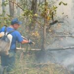 В Свердловской области отменят особый противопожарный режим — РИА Новости, 28.10.2021