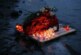 Спасатели рассказали об экипаже судна, севшего на мель в Приморье — РИА Новости, 09.11.2021