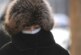 Москвичей предупредили о январских морозах в конце ноября — РИА Новости, 14.11.2021