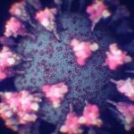 Ученые нашли мощный резервуар мутаций коронавируса — РИА Новости, 03.11.2021