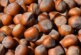 Британские исследователи рекомендовали орех против «плохого» холестерина
