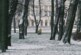 Более 7,7 тыс кубометров снега вывезено за сутки с улиц Петербурга — РИА Новости, 30.11.2021