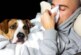 Ученые создают первую в мире вакцину от аллергии на собак