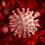 Люди с тромбозом чаще умирают от COVID-19 — новое исследование