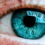 Быстрое старение сетчатки глаза связали с риском скорой смерти
