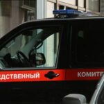 В Костроме нашли убитой пропавшую пятилетнюю девочку — РИА Новости, 05.01.2022