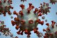 Ученые предрекли появление смертельного варианта коронавируса: «Убьет каждого третьего зараженного»