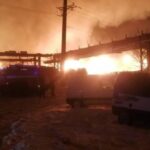 Работники мебельной фабрики во Фрязино о пожаре: «Выскакивали в чем были»