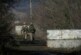 Украинские войска выпустили шесть мин по Докучаевску, заявили в ДНР — РИА Новости, 04.03.2022