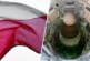 Игра в провокации: почему Польша предложила разместить ядерное оружие США на своей территории — РТ на русском